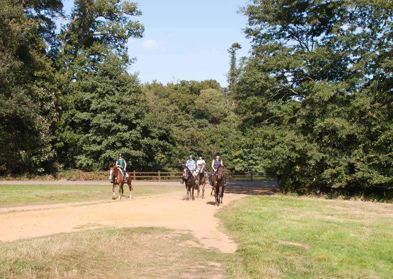 Horse riders Windsor Great Park 